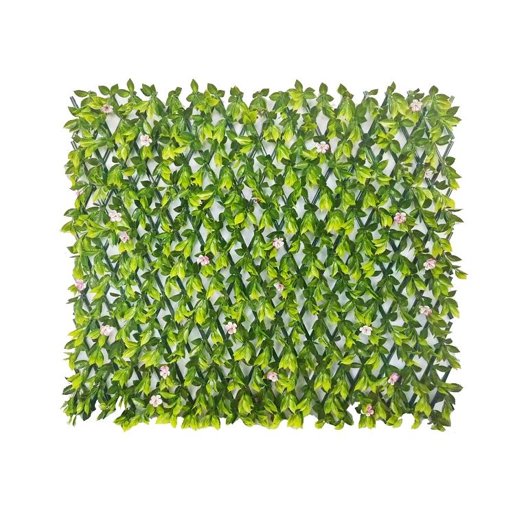 Gléasra Trellis Allamuigh