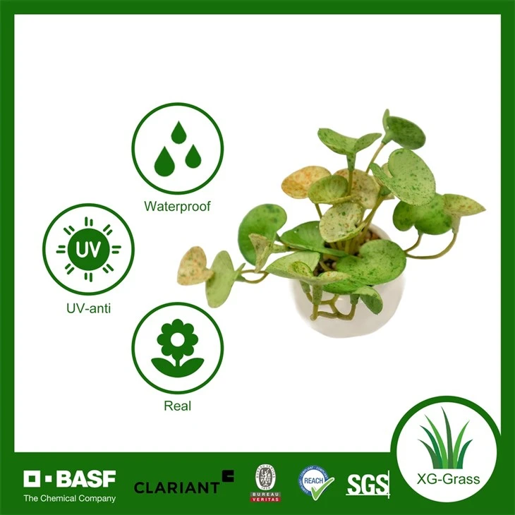 Xingu Beautifully Crafted Fake Succulent Plant For Indoor Spaces high quality