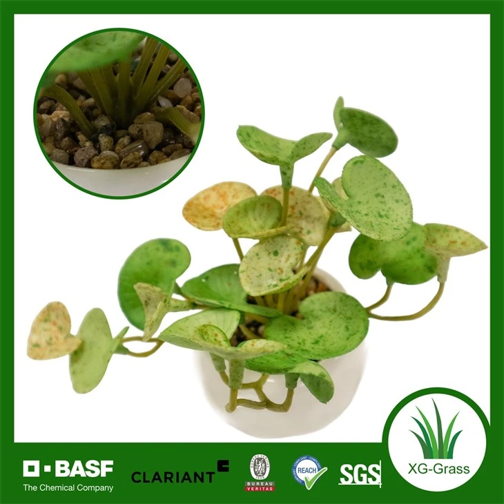 Xingu Beautifully Crafted Fake Succulent Plant For Indoor Spaces factory