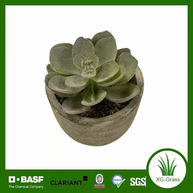 Ealaín Mini Succulent Lifelike