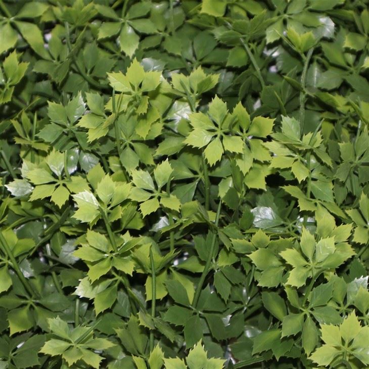 Fake Plant Wall Panels