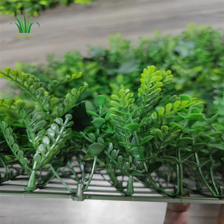Indoor Living Green Wall
