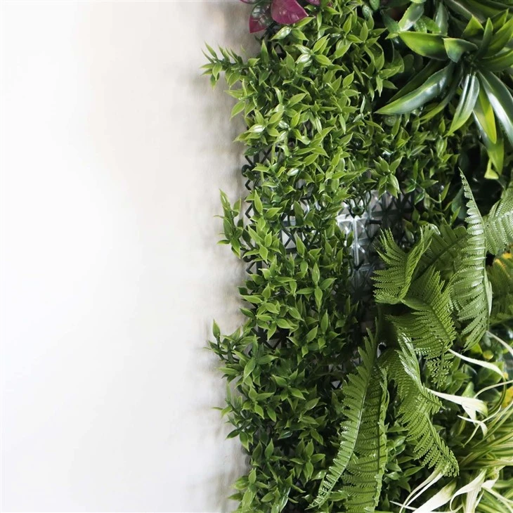 Indoor Plant Wall System