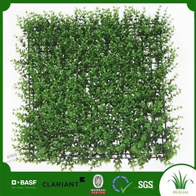 Seomra Ranga Balla Féir