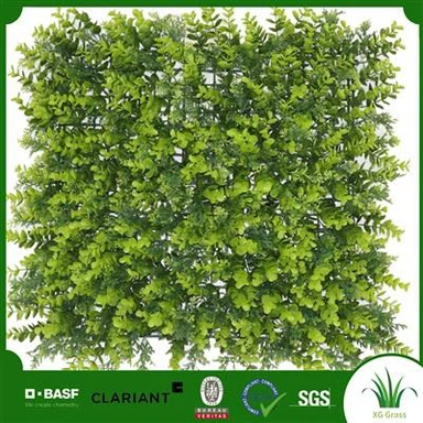 Balla Maireachtála Intí