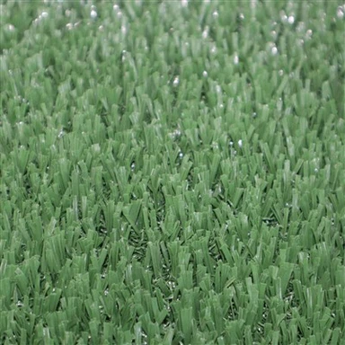 Gach Glas Gan Líonadh Peile Gras