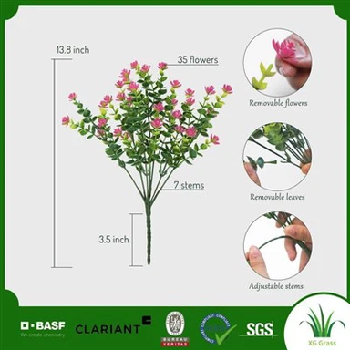 Bláthanna Saorga i Bulc