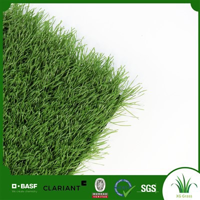 Féar Peil Saorga Grass Bréige Cúlchlós