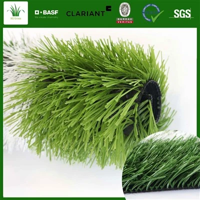 Grass Saorga Cheap Do Pháirc Peile