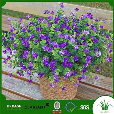 Bláthanna falsa i Bulc