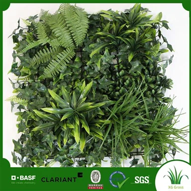 Plandaí Balla Saorga Dhíon