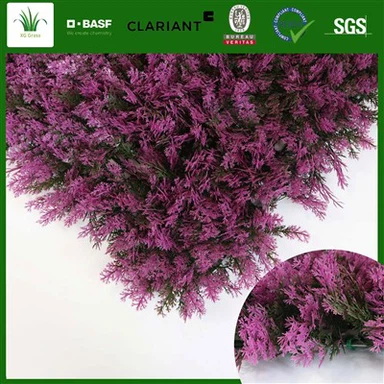 Balla Bláthanna Dhíon