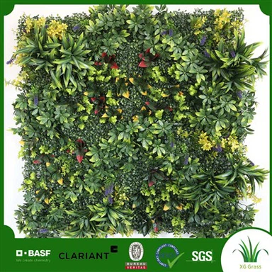 Eidhneán Balla Dhíon